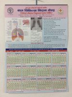 Human respiratory system and developmental milestones in a calender [created by Dr. NB Basnet]