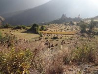 Post-harvest land in Jumla, Nepal